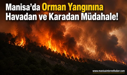 Üçpınar Mahallesi Yakınlarında Orman Yangını Çıktı