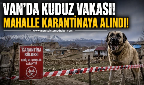 Van’da Kuduz Alarmı!