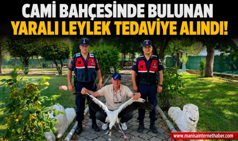 Gördes'te Yaralı Bulunan Leylek Tedavi Altına Alındı
