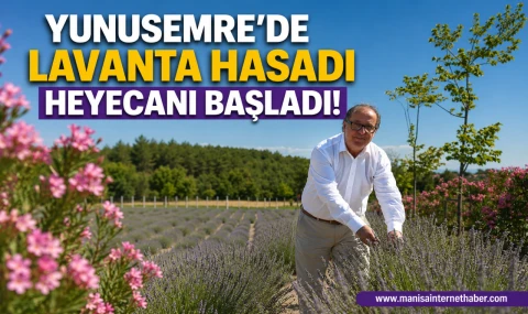 Ortaköy'de Mor Hasat İçin Geri Sayım