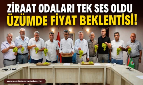 Kuru Üzümde Üreticinin Fiyat Beklentisi Yükseldi