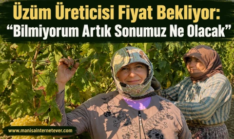 Manisa’da Üreticinin Hesabı Tutmuyor: “Mahsulümüz Para Yapmıyor”
