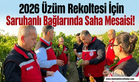 Manisa’da Üzüm Rekoltesi İçin Sahada Yoğun Mesai