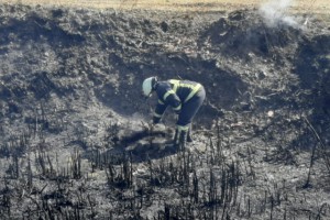10 YAVRU KÖPEK YANGINDA TELEF OLDU